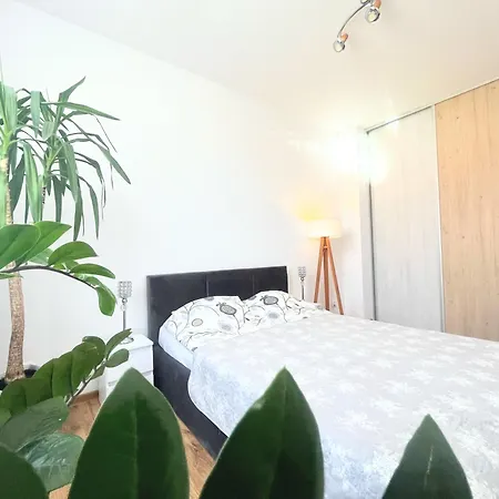 Apartment Plazowy